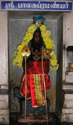 Balasubramaniar